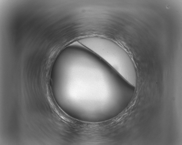 X0000073710097200608031051