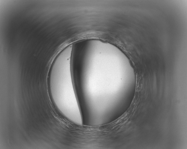 X0000073710099200608031051