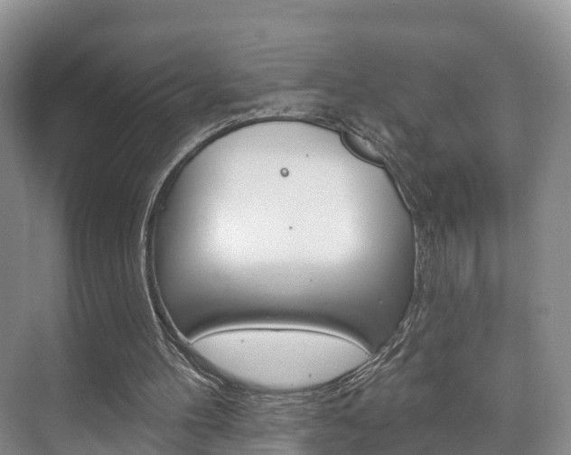 X0000073710100200608031051