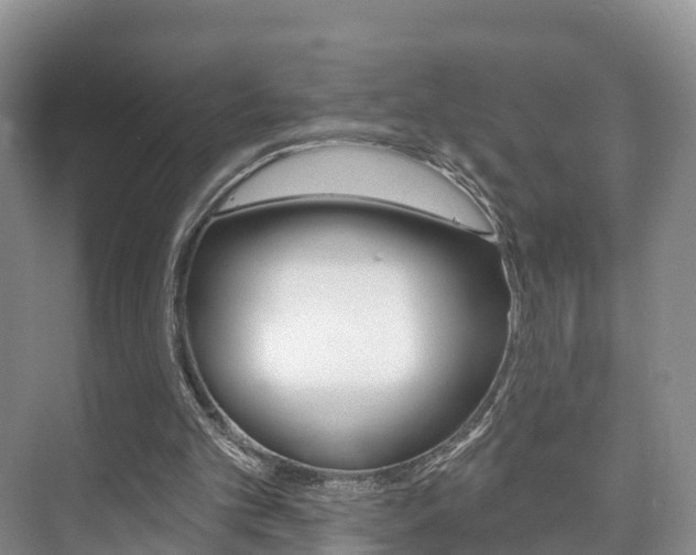 X0000073710101200608031051