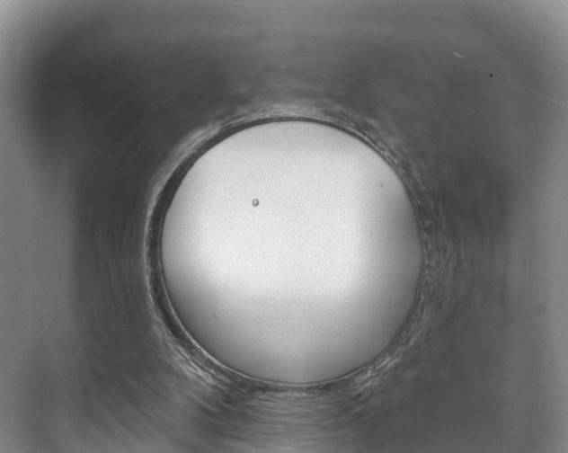 X0000073710104200608031051