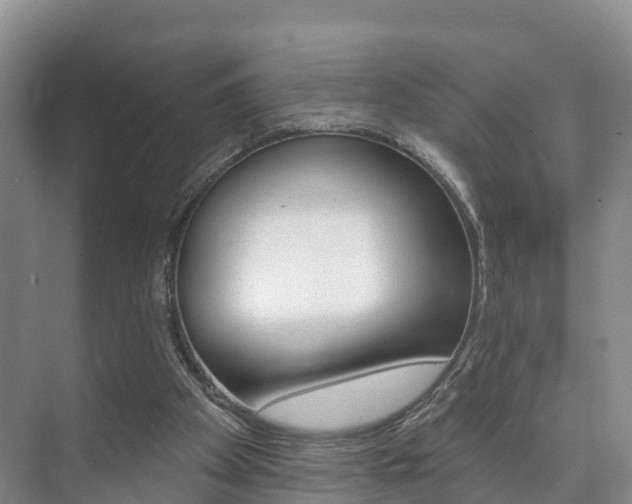 X0000073710105200608031051