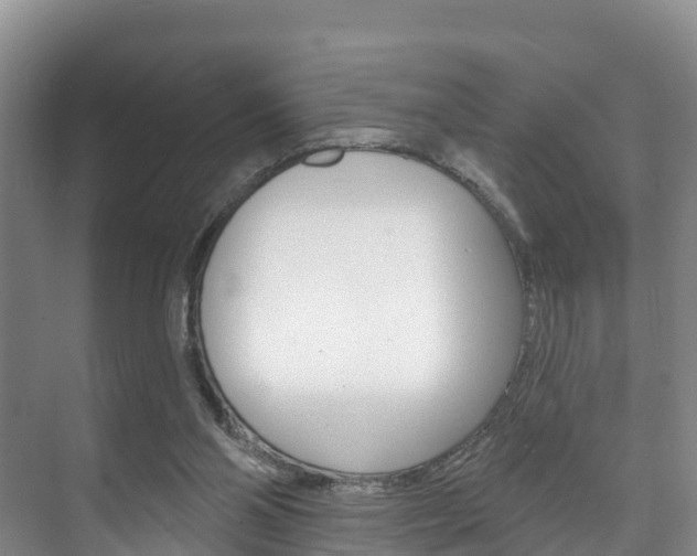 X0000073710110200608031050