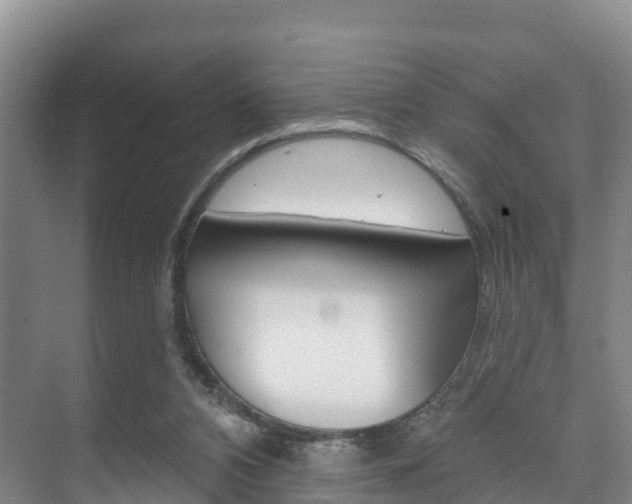 X0000073710112200608031050