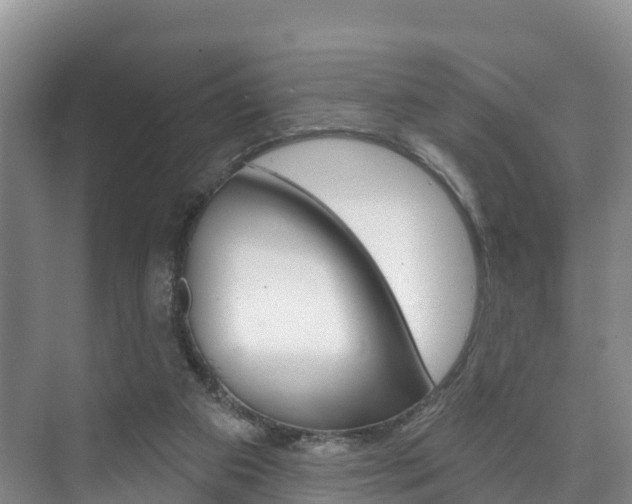 X0000073710113200608031050