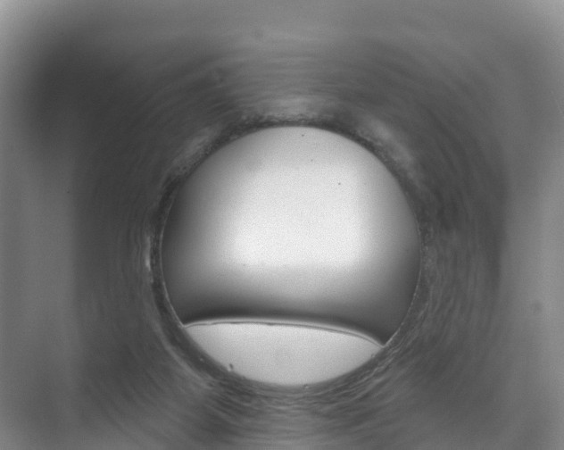 X0000073710115200608031050