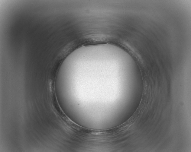 X0000073710117200608031050