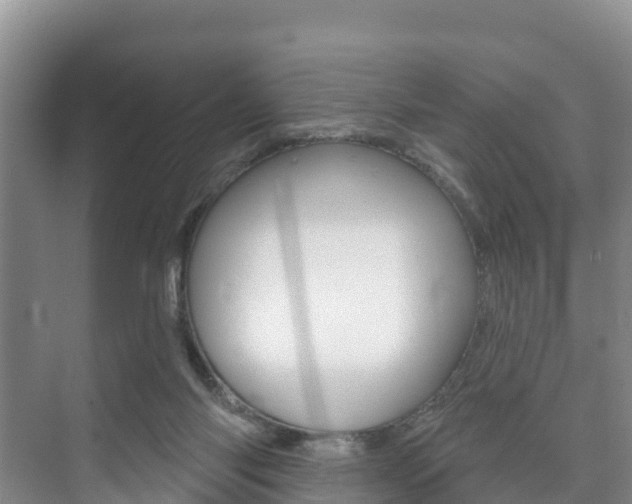 X0000073710118200608031050