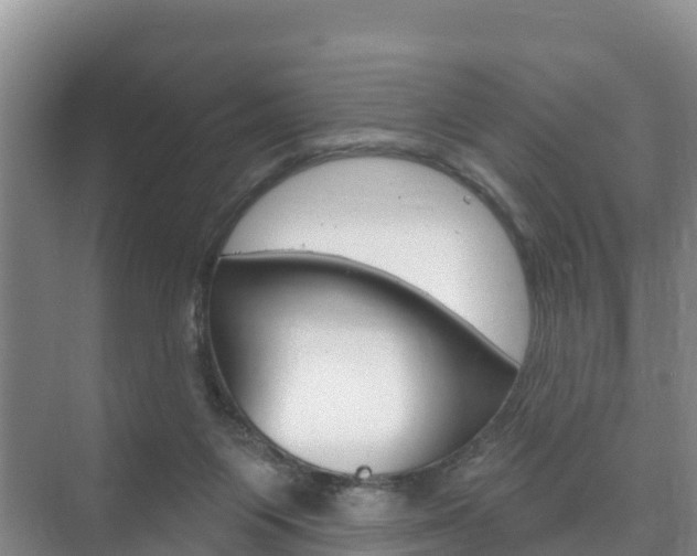 X0000073710119200608031050