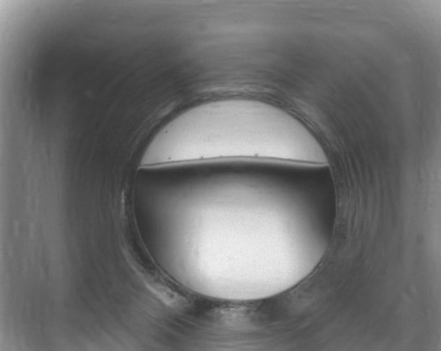 X0000073710120200608031050