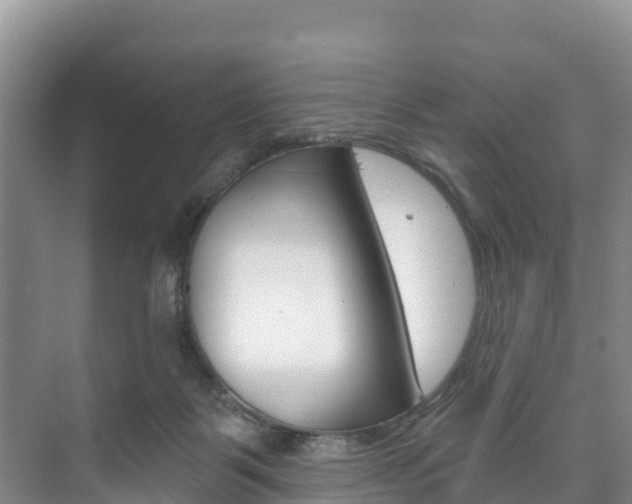 X0000073710123200608031050