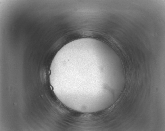 X0000073710124200608031050