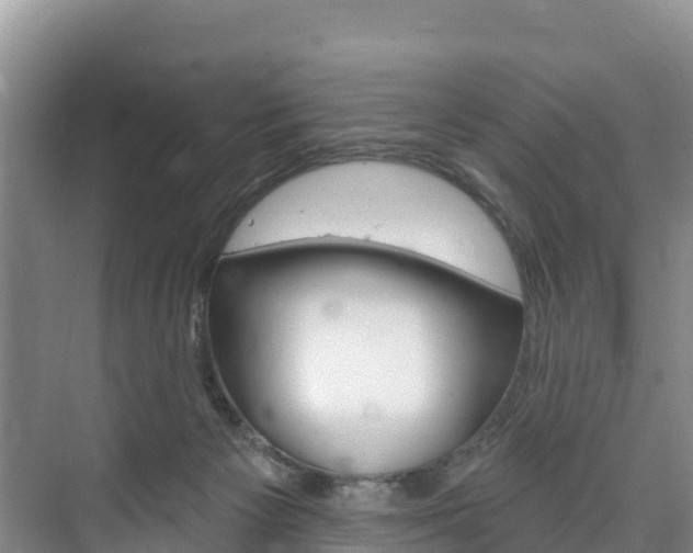 X0000073710125200608031050