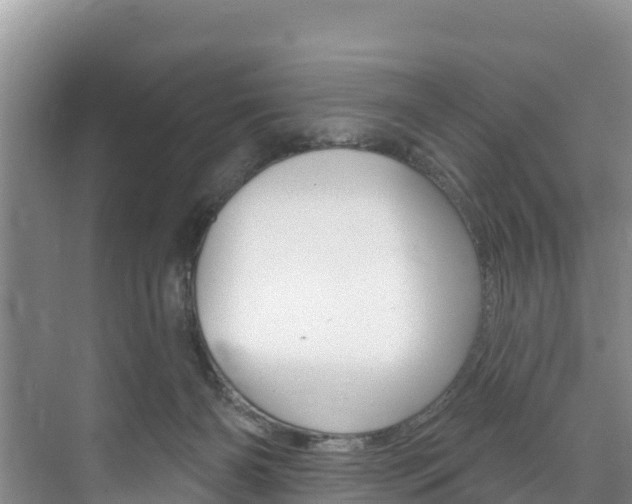 X0000073710126200608031050