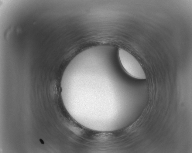 X0000073710128200608031050