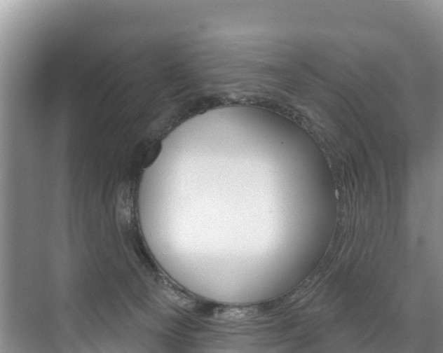 X0000073710129200608031050