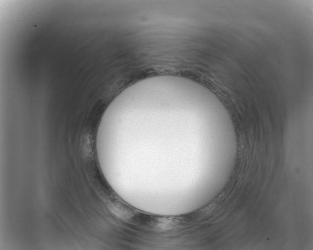 X0000073710130200608031050