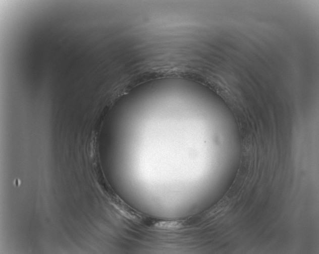 X0000073710133200608031050