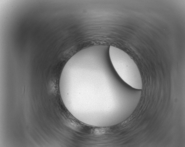 X0000073710134200608031050