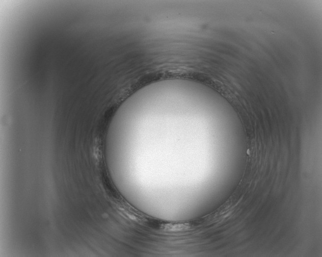 X0000073710135200608031050