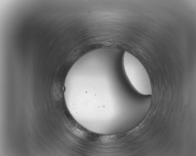 X0000073710136200608031050