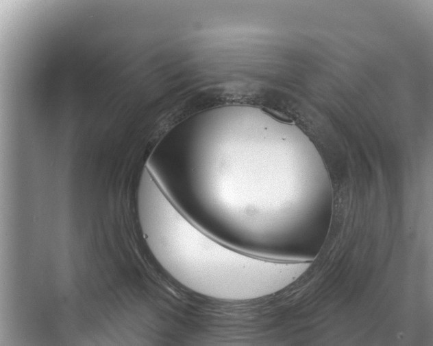 X0000073710137200608031050