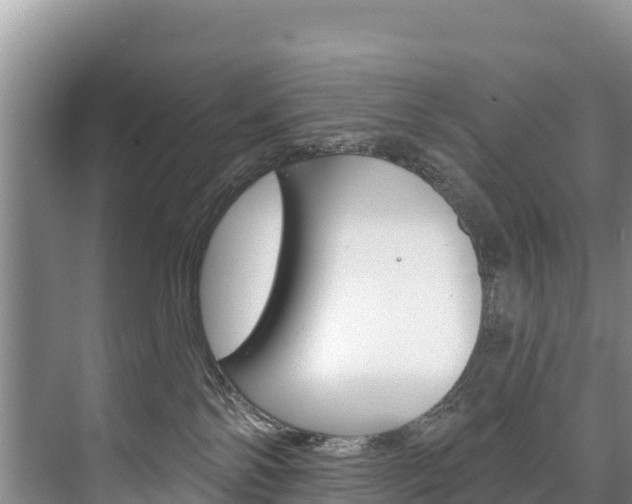 X0000073710138200608031050