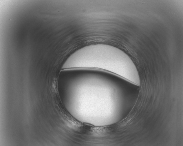 X0000073710141200608031050