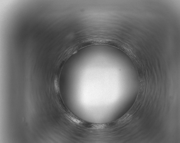 X0000073710143200608031050