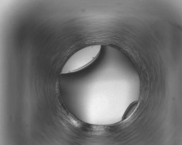 X0000073710144200608031050