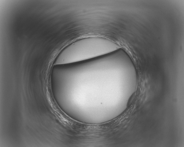 X0000073710145200608031049