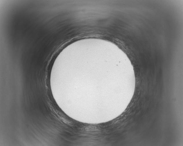 X0000073710146200608031049