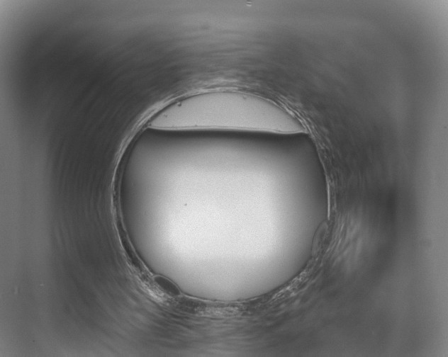 X0000073710147200608031049