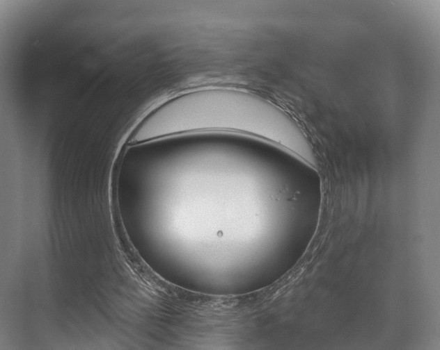 X0000073710148200608031049