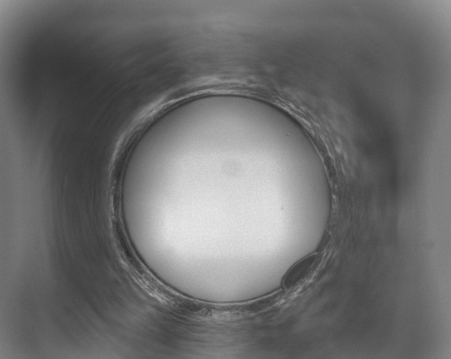 X0000073710149200608031049