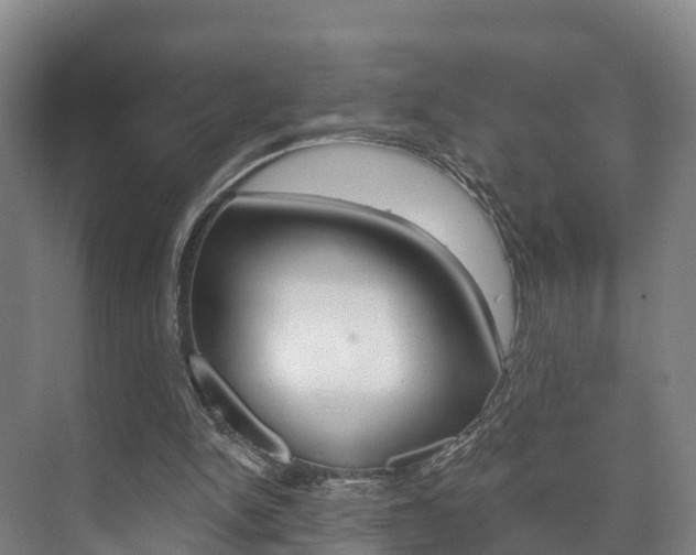 X0000073710150200608031049