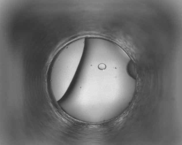 X0000073710151200608031049