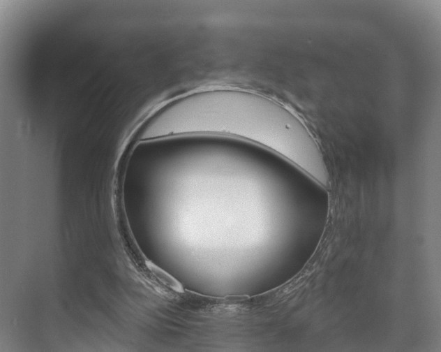 X0000073710152200608031049