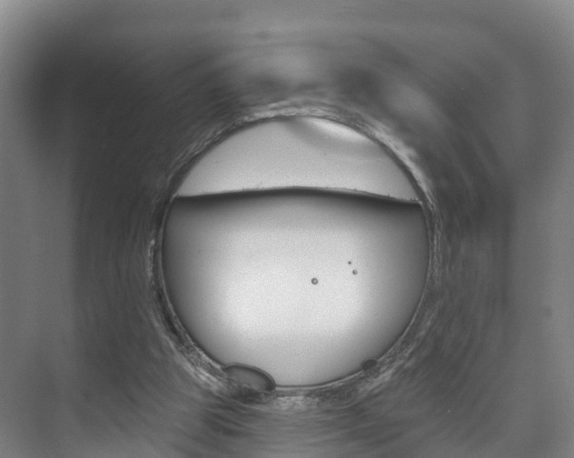 X0000073710153200608031049