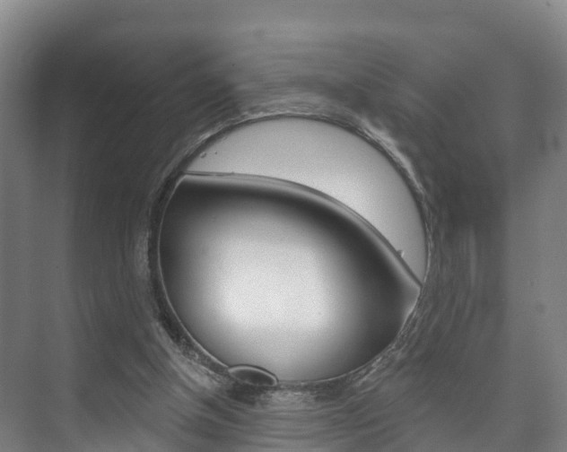 X0000073710154200608031049