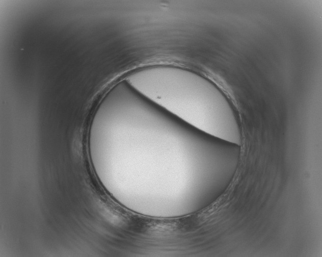 X0000073710155200608031049