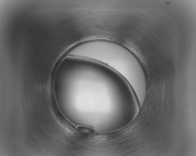 X0000073710156200608031049