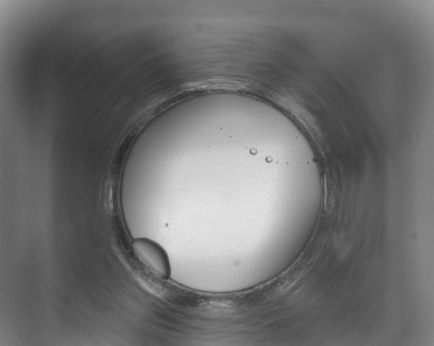 X0000073710157200608031049