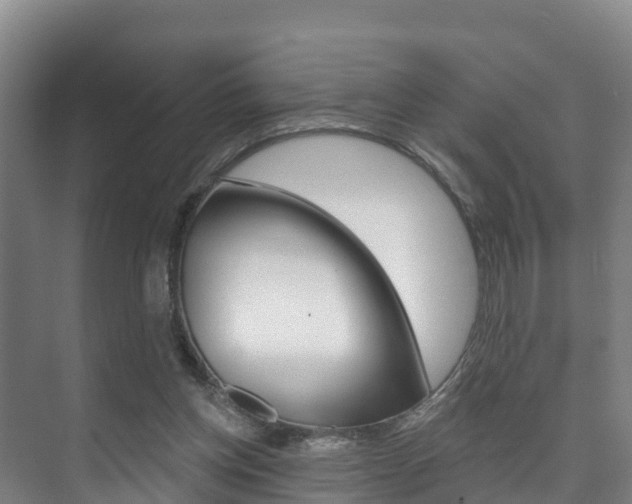 X0000073710158200608031049