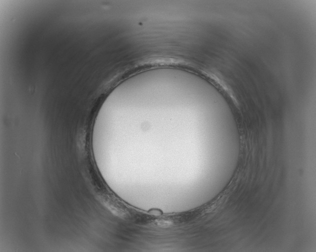 X0000073710159200608031049