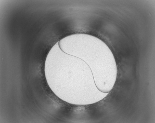 X0000073710162200608031049