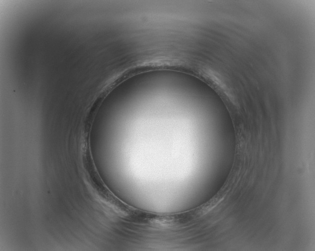 X0000073710164200608031049