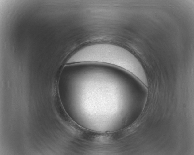 X0000073710168200608031050