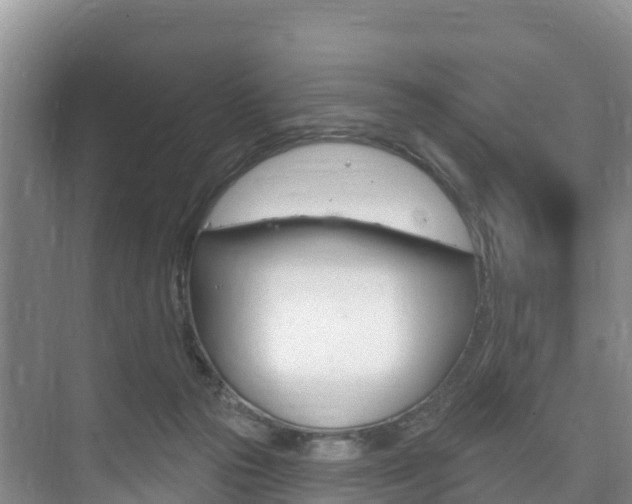 X0000073710169200608031050