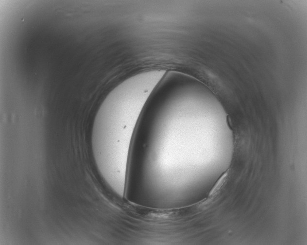 X0000073710170200608031050